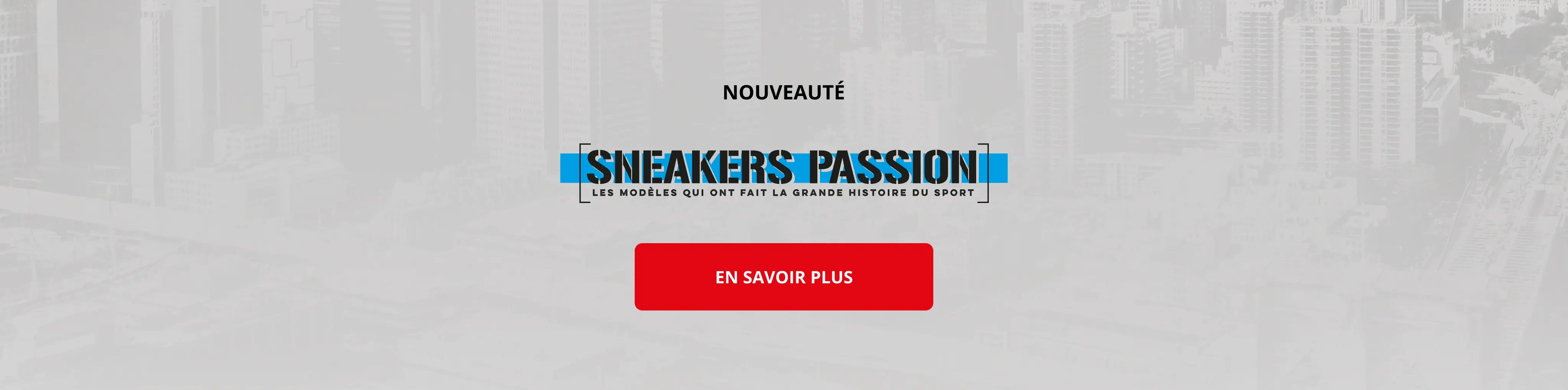 Sneakers Passion
