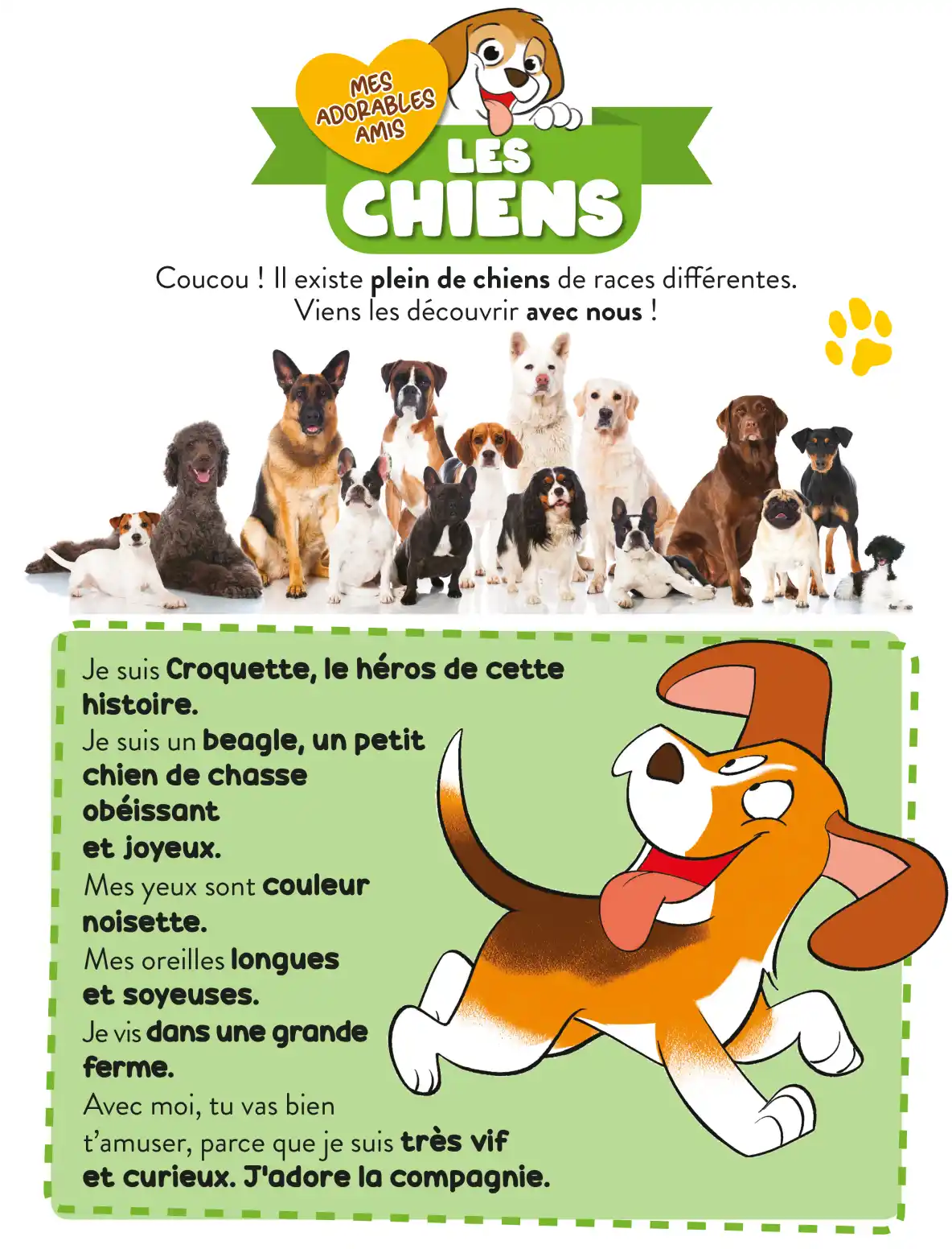 Joue et apprends avec les meilleurs amis des enfants